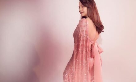 Sarees for festive occasions.