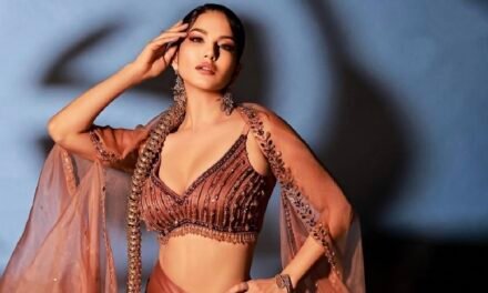 अपनी साड़ी या लहंगे को और भी आकर्षक बनाने के लिए चुनें ये ब्लाउज के डिजाइंस