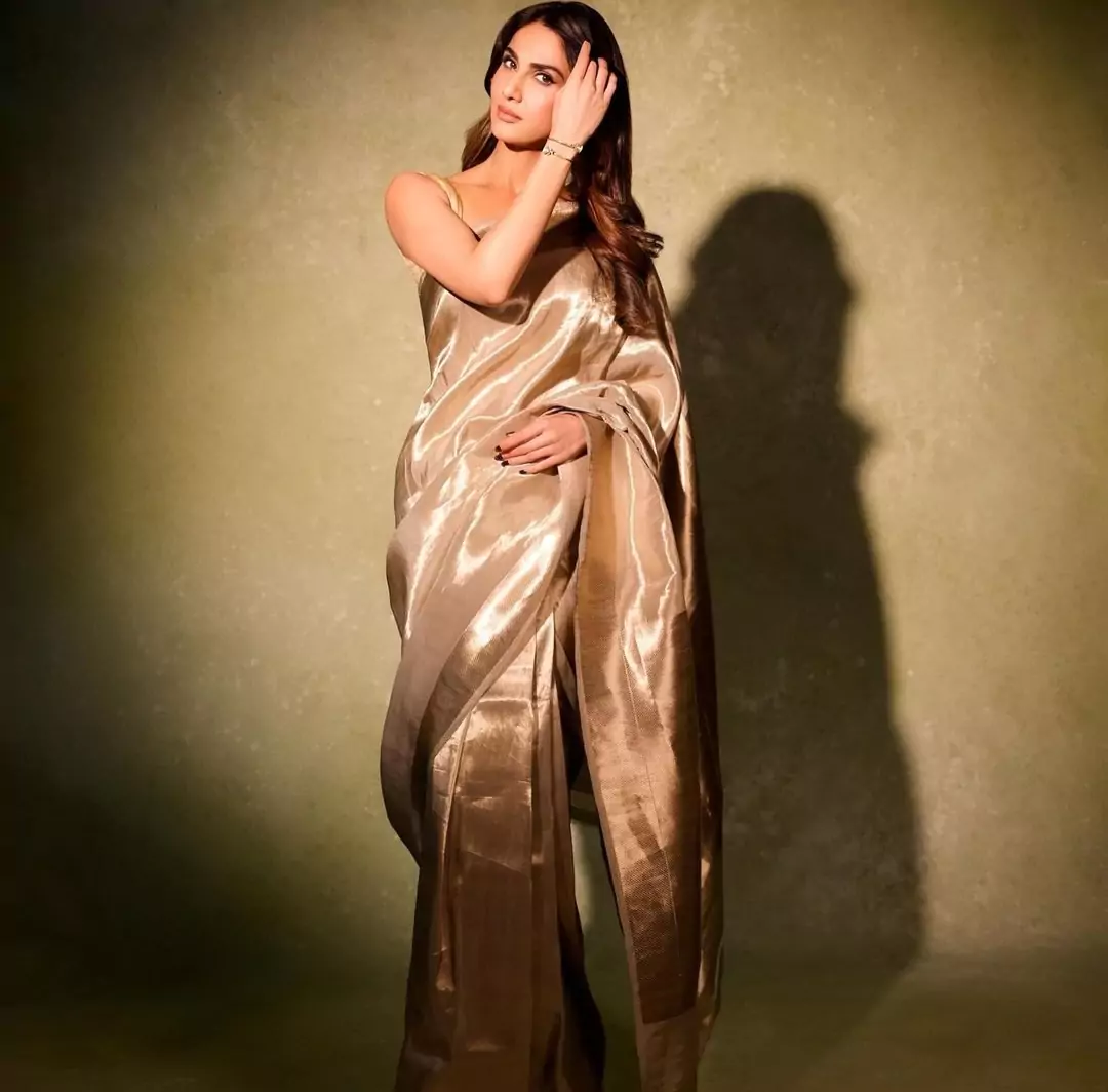 Plain saree looks 